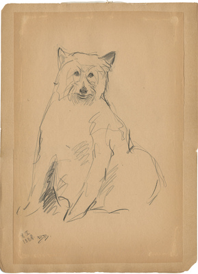 Ватагин Василий Алексеевич. Джали